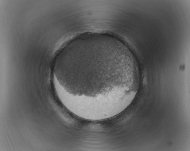 X0000113230685200910081406