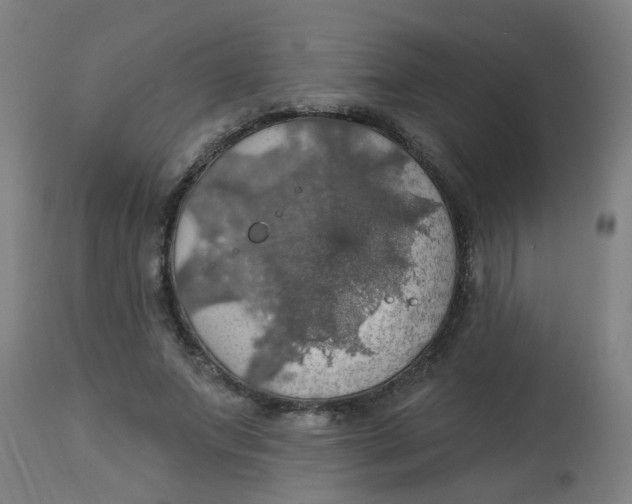 X0000113230687200910081406