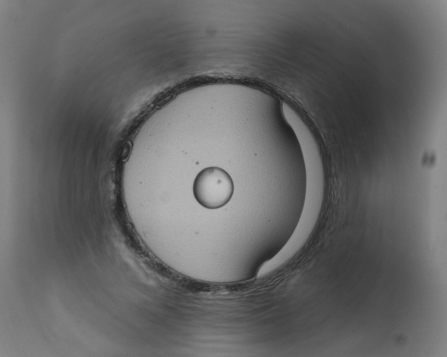 X0000113230688200910081406