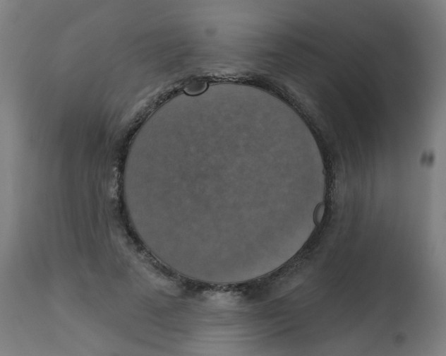 X0000113230689200910081406