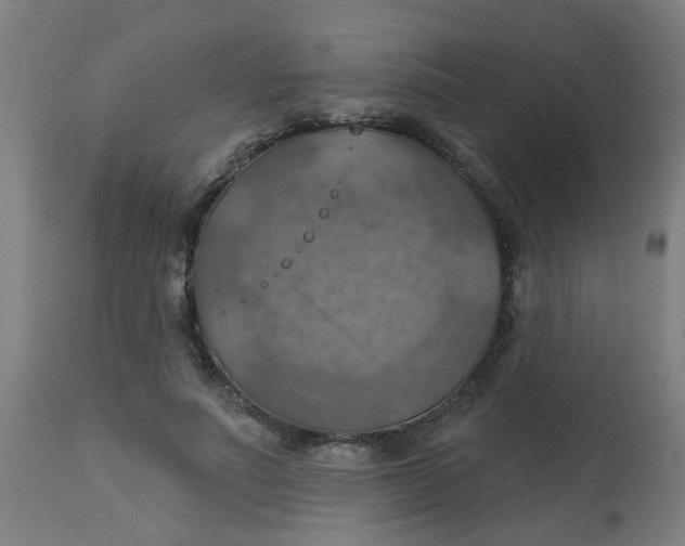 X0000113230691200910081406