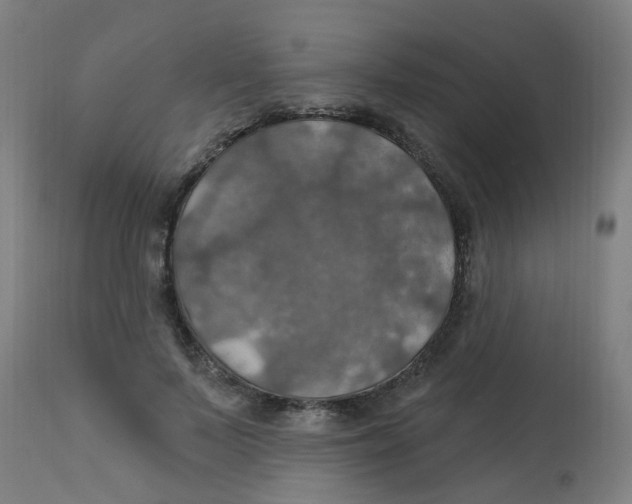 X0000113230695200910081406