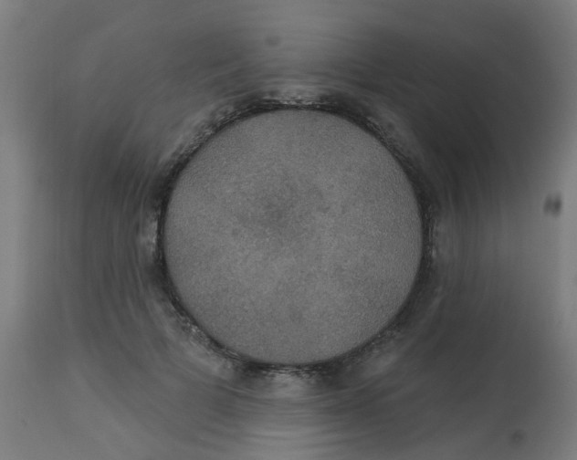 X0000113230697200910081406