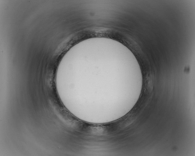 X0000113230698200910081406