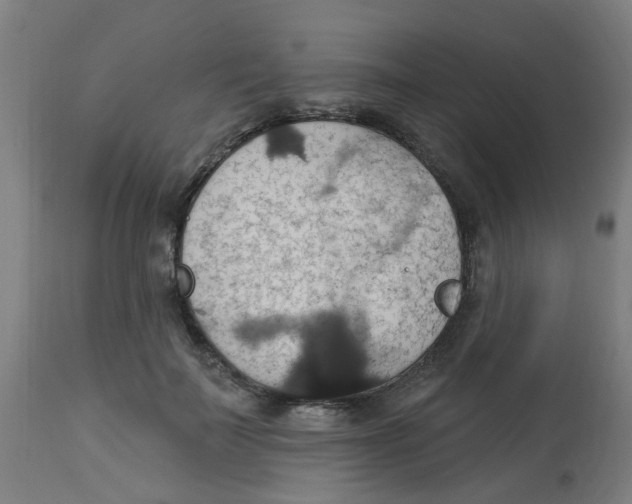 X0000113230699200910081406