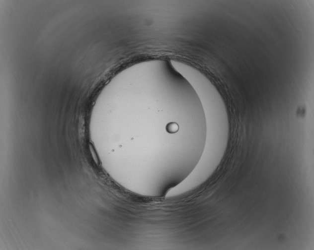 X0000113230700200910081406