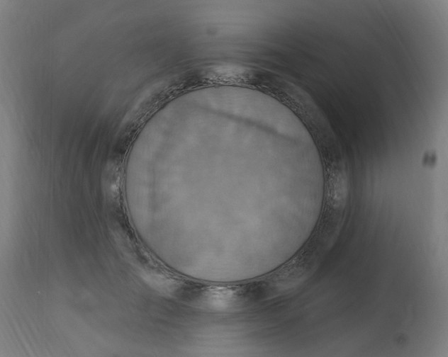 X0000113230701200910081406