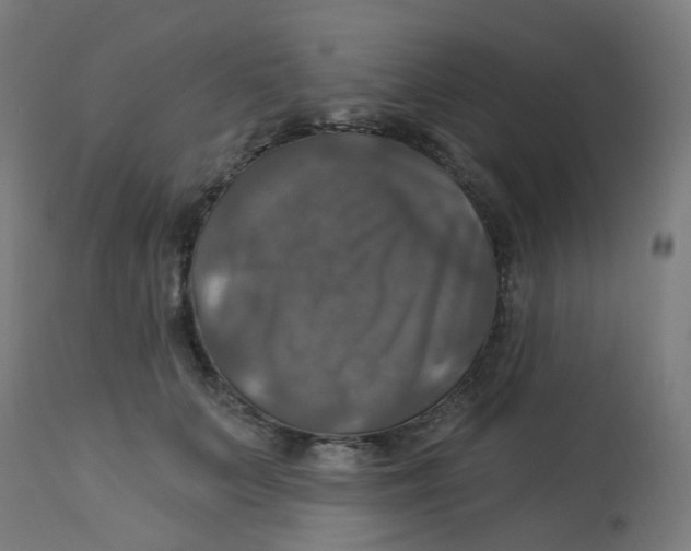 X0000113230703200910081406