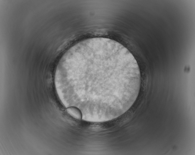 X0000113230704200910081406