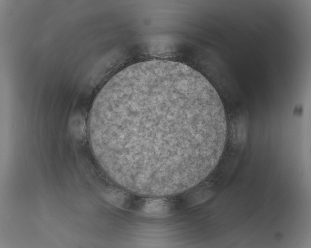 X0000113230705200910081406