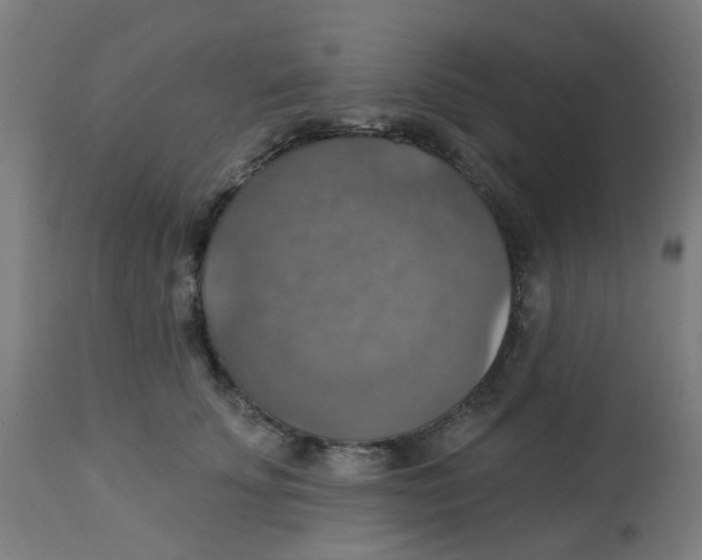 X0000113230707200910081406