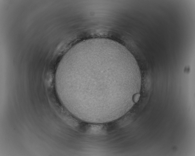 X0000113230709200910081406