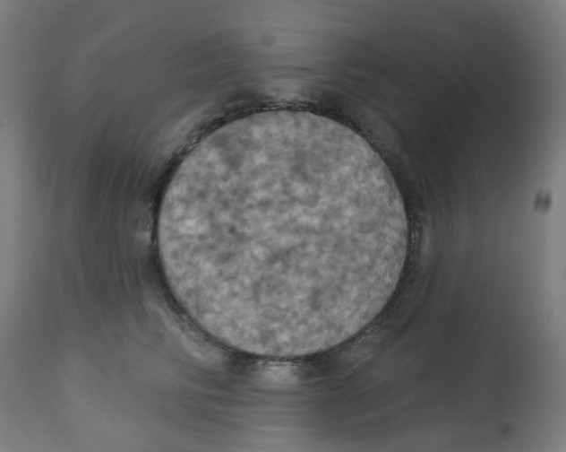 X0000113230710200910081406