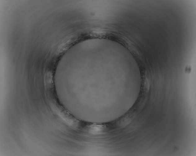 X0000113230711200910081406