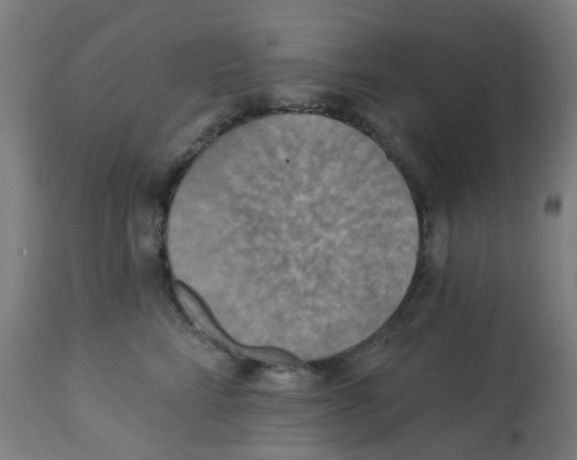 X0000113230712200910081406