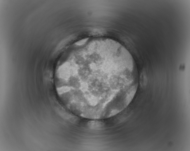 X0000113230714200910081406