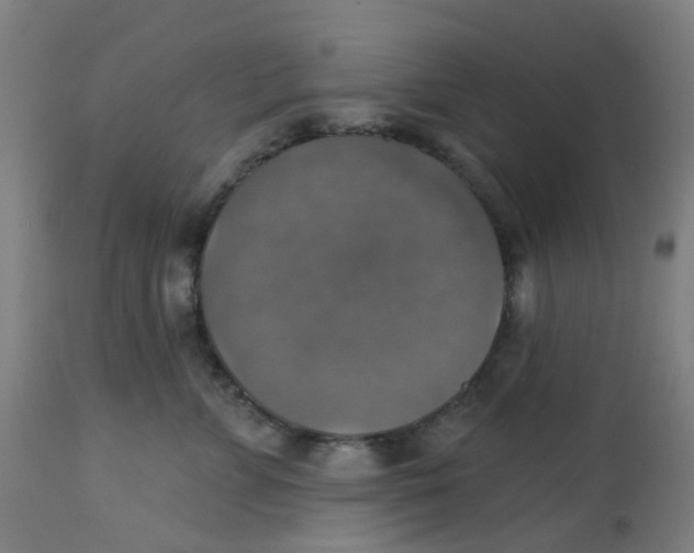 X0000113230715200910081406