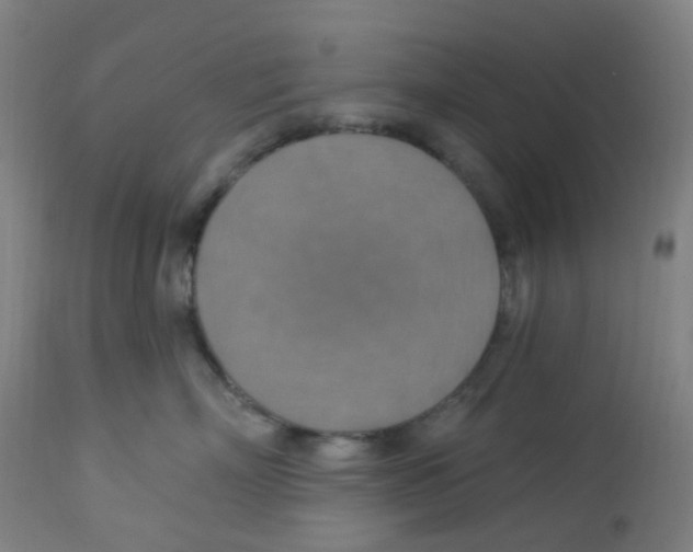 X0000113230718200910081406