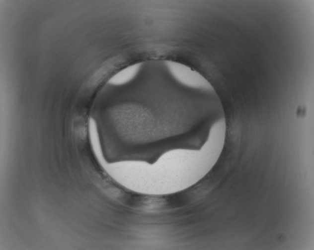 X0000113230719200910081406