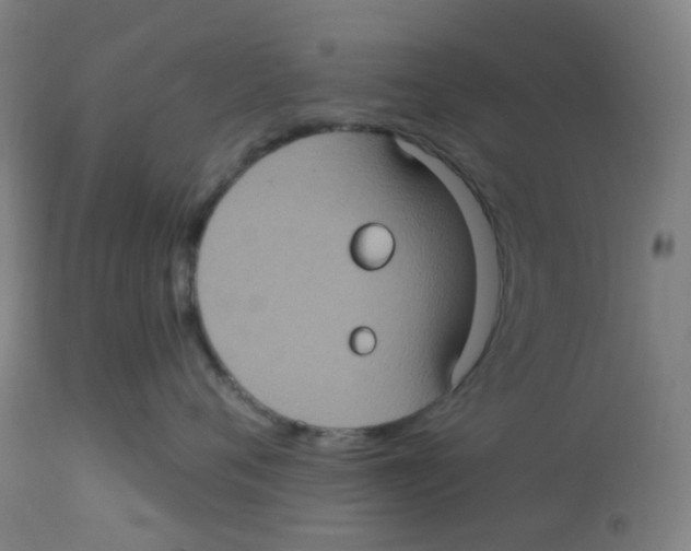 X0000113230720200910081405