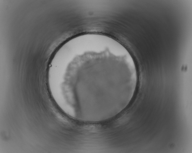 X0000113230721200910081405