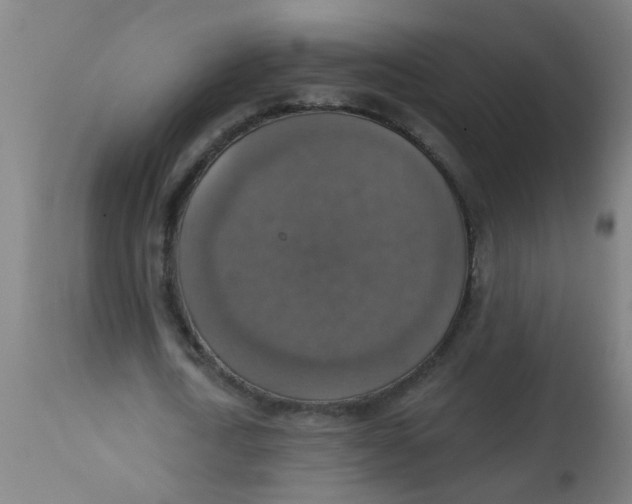 X0000113230722200910081405