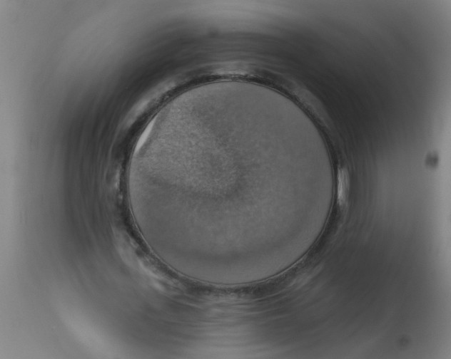 X0000113230723200910081405