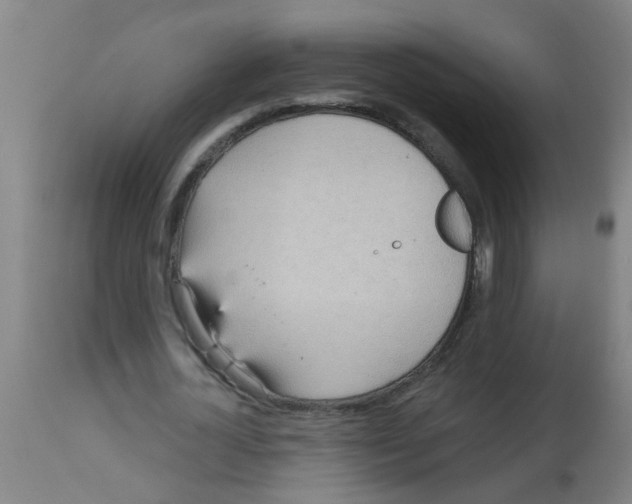 X0000113230724200910081405