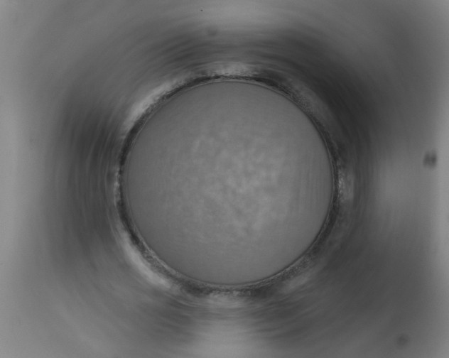 X0000113230725200910081405