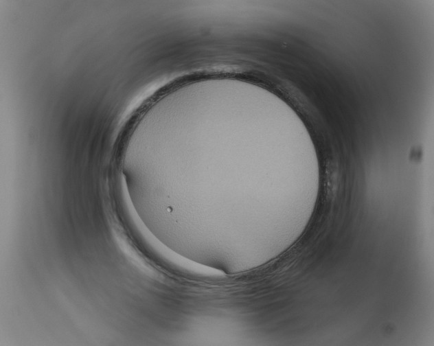 X0000113230726200910081405