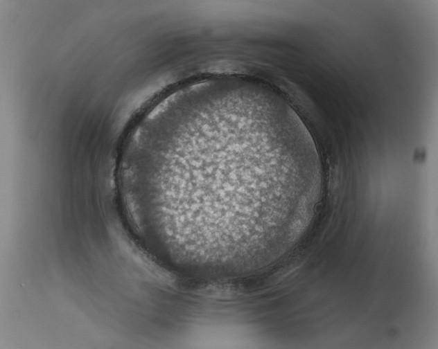 X0000113230727200910081405