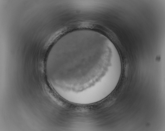 X0000113230729200910081405