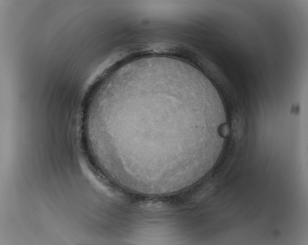 X0000113230730200910081405