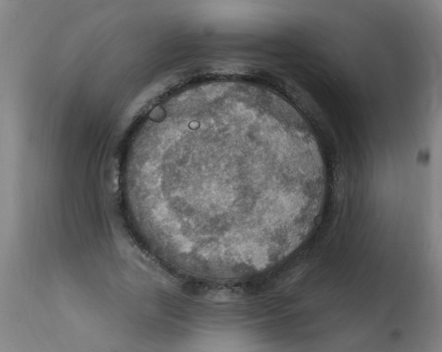 X0000113230731200910081405