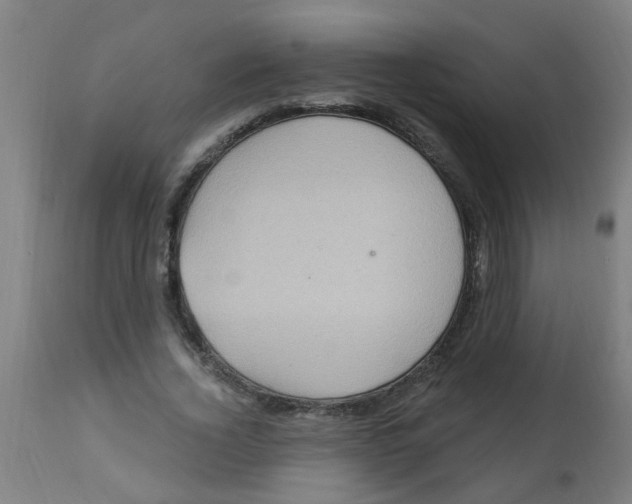 X0000113230732200910081405