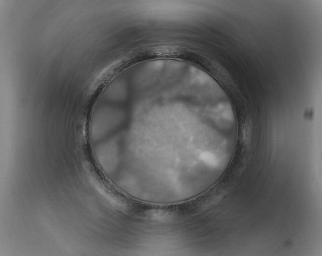 X0000113230733200910081405