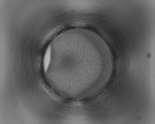 X0000113230735200910081405