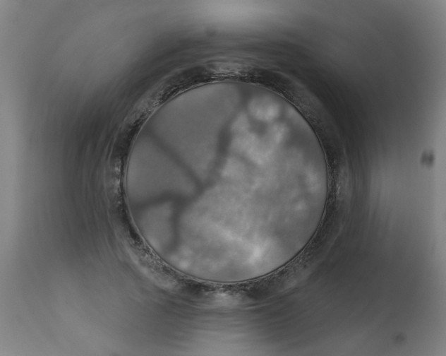 X0000113230737200910081405