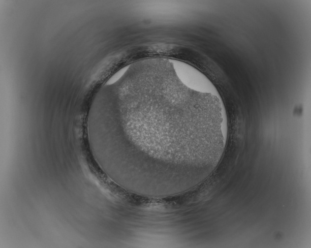 X0000113230738200910081405