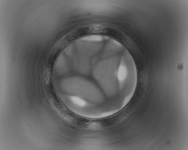 X0000113230741200910081405