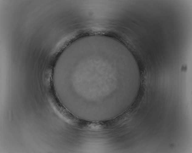 X0000113230742200910081405