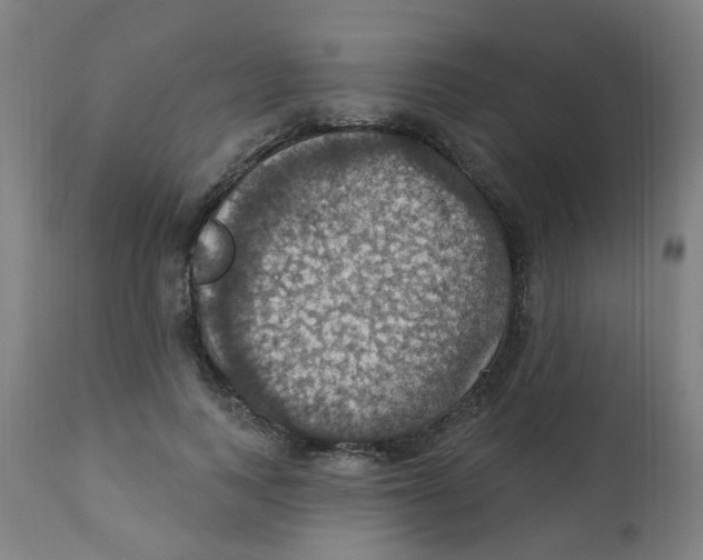 X0000113230743200910081405