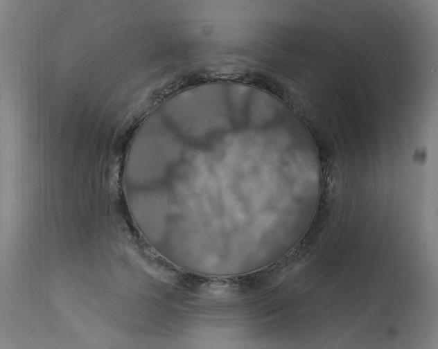 X0000113230745200910081405