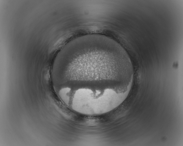 X0000113230746200910081405