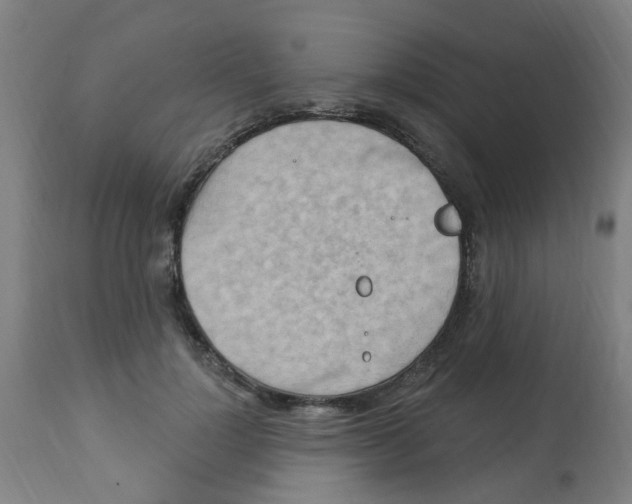 X0000113230748200910081405