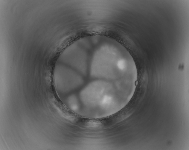 X0000113230749200910081405