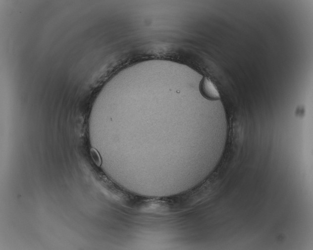 X0000113230750200910081405