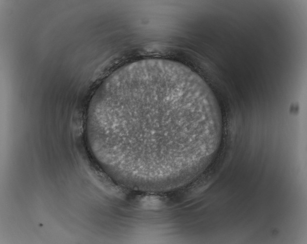 X0000113230751200910081405