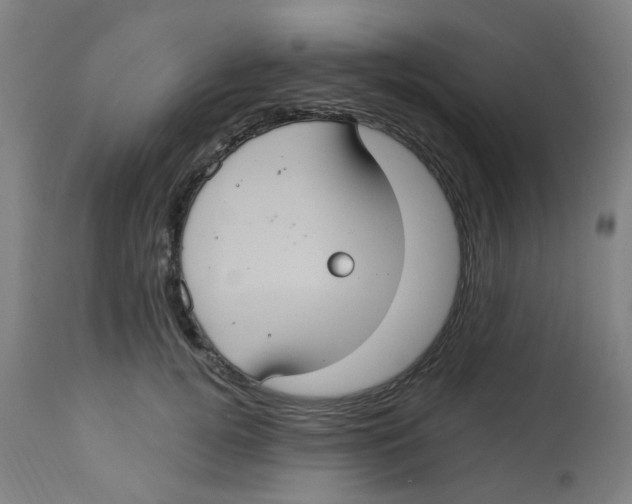 X0000113230752200910081405