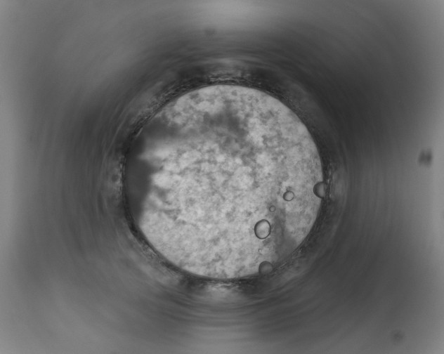 X0000113230753200910081405